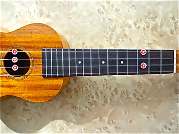 ukulele_famous_fs5g.JPG