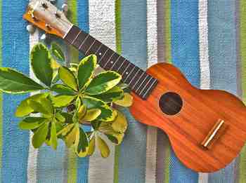 ukulele_famousFS5G.jpg